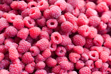 Ripe red raspberries as background