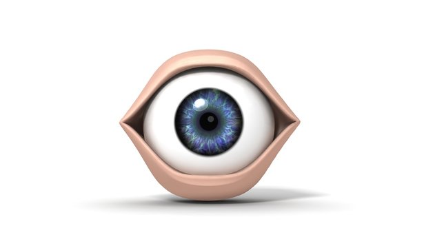oeil
