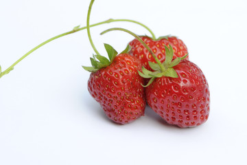 three fruits