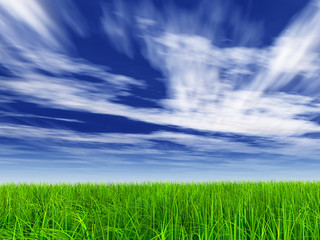 green grass over a blue sky with white clouds as background