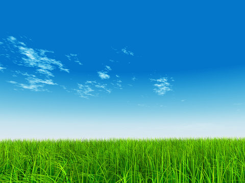 High resolution grass and sky background
