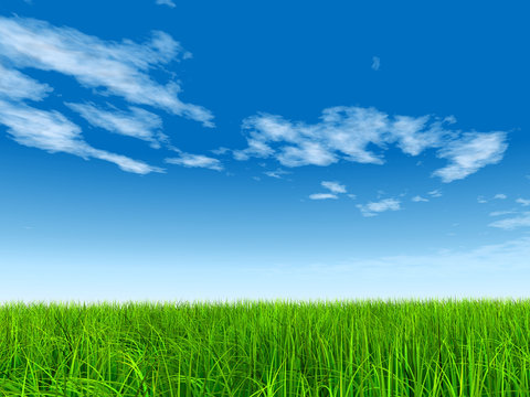 High resolution grass and sky background