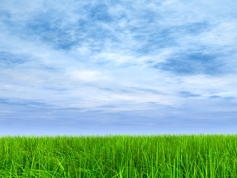 High resolution grass and sky background