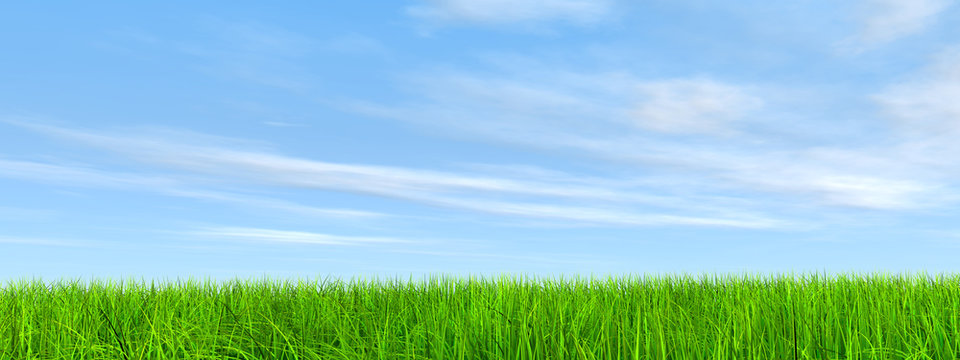 High resolution grass and sky background