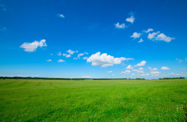 Obraz premium landscape