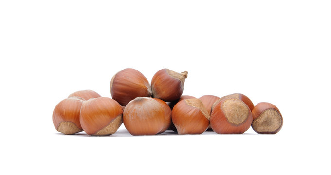 Hazelnuts