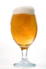 beer