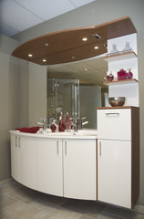 Design bathroom setup