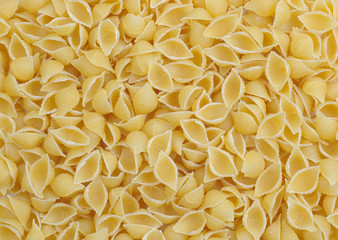 a lot of pasta small shell as back ground