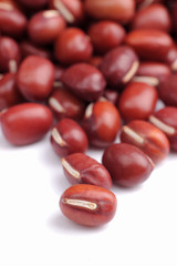 red beans macro focus on front most bean