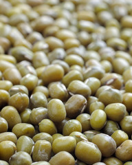 green bean close up focus on front most object