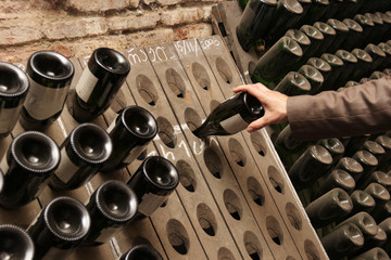 Man in a winery in Tbilisi, Georgia