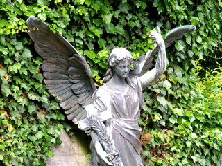 Engel
