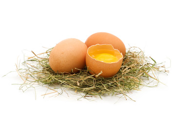 bio eggs on white background © Andre