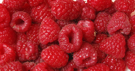 Fresh raspberries