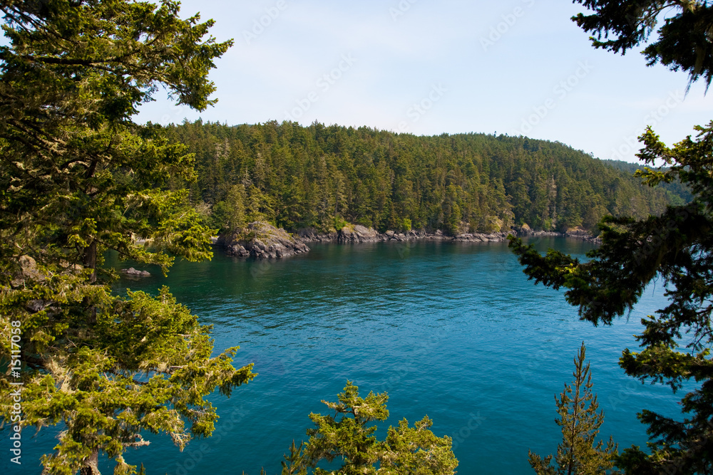 Wall mural beautiful nature in east sooke provincial park, bc, canada