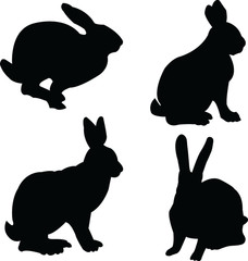 rabbit collection - vector