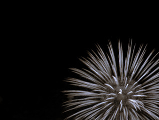 firework