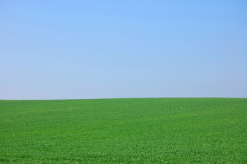green landscape