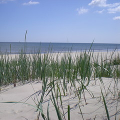 Ostseed&uuml;ne mit Blick zum Meer