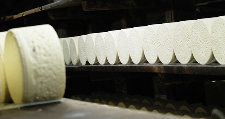 fromage Roquefort en cave