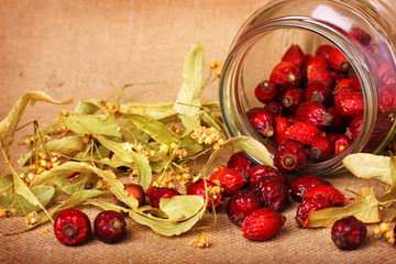 Rose hips and dry linden blossom - 15118681