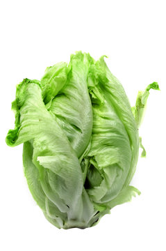 lechuga