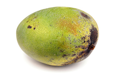 green uncut mango over white