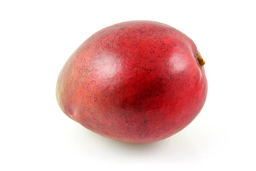 fresh mango fruit on white background