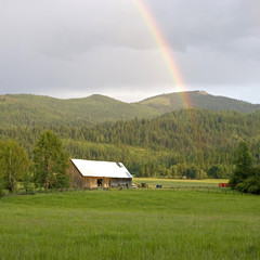 A colorful rainbow falls over this barn in a farm field.