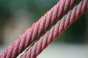 Steel rope
