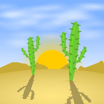 kakteen in der wüste