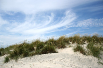 Fototapeta na wymiar Sandy Beach