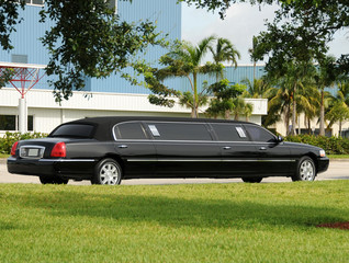 Black limo - 15124889