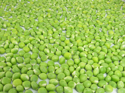 Sea of peas
