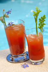 Bloody Mary cocktail