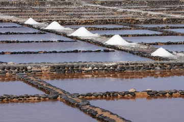 Foto op Aluminium Traditional saline on Canary Island Fuerteventura, Spain © philipus