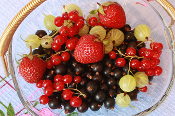 Berries assortie in the dish
