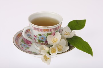 Cup of tea with jasmine flowers