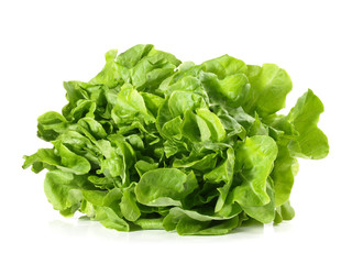 Blattsalat