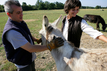 Couple d'agriculteurs avec des ânes