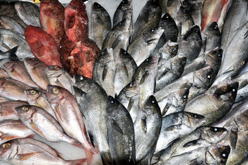 Poissons &agrave; vendre