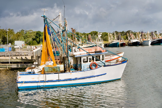 Fishing trawlers moored at docks