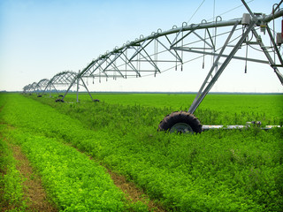 irrigation