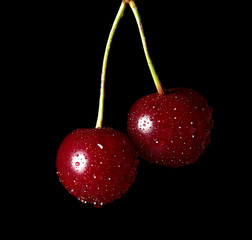 cherries with water drops isolated on black
