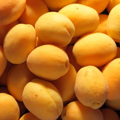 colorful apricot background