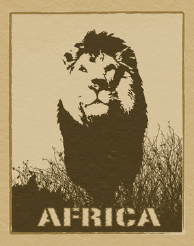 Africa image with lion silhouette