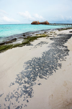 Strand - Malediven - Beach - Maldives