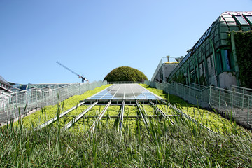Garden of modern, ecological building.