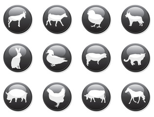 black icon buttons animals